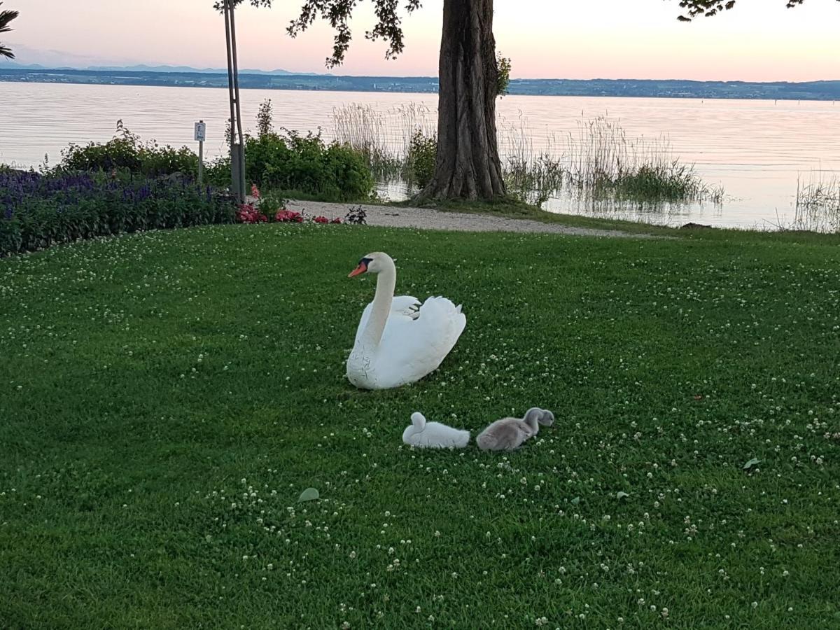 Malvelyns Am Bodensee Immenstaad am Bodensee Bagian luar foto